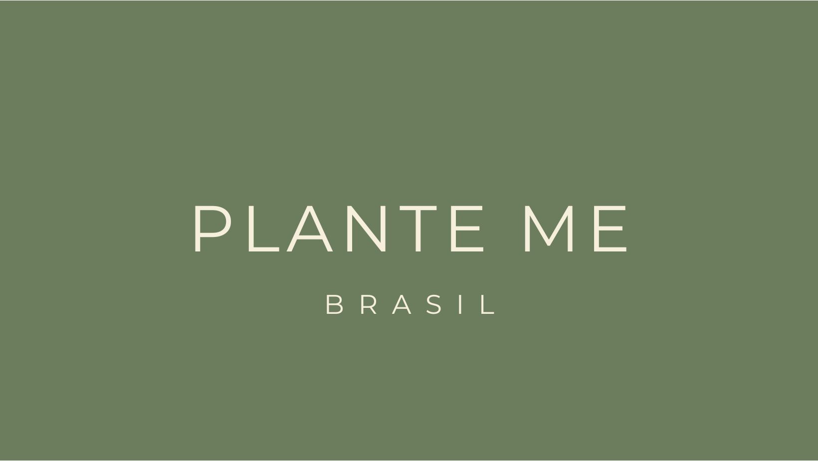 Estilo boho chic com plantas: dicas de decoração - Plante Me Brasil