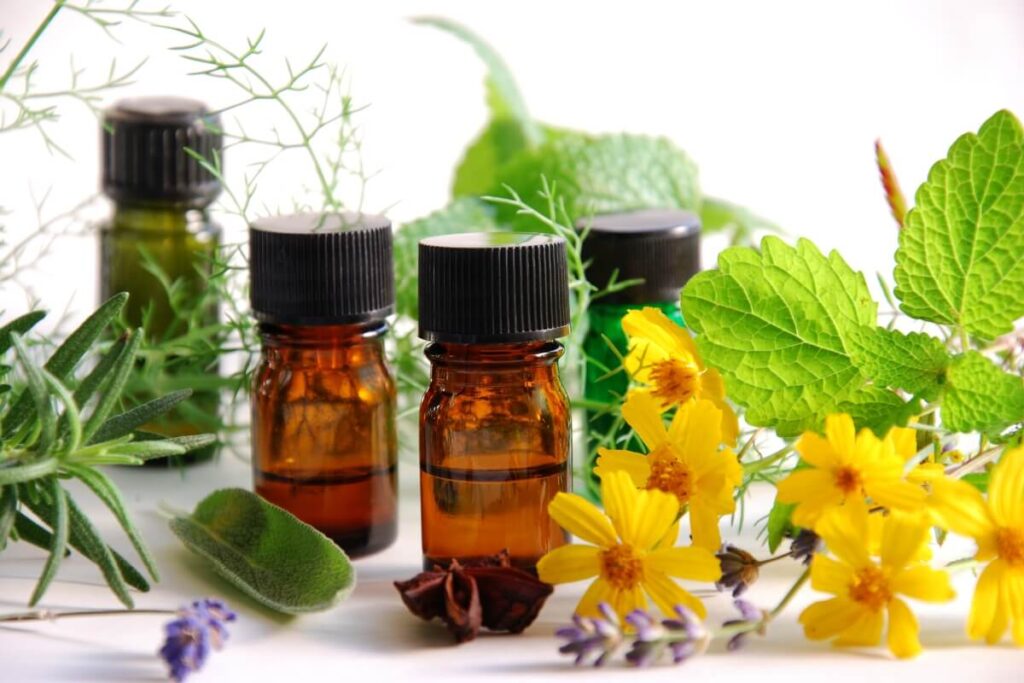 Aromaterapia com plantas: Perfume sua casa de forma natural