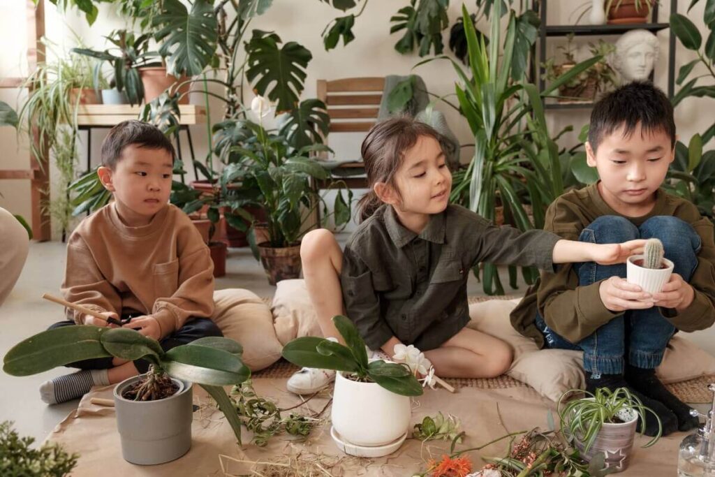 Educar crianças sobre a importância das plantas