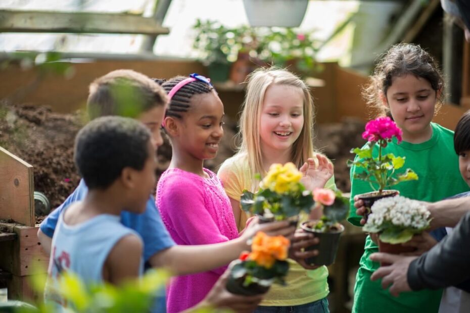 Educar crianças sobre a importância das plantas